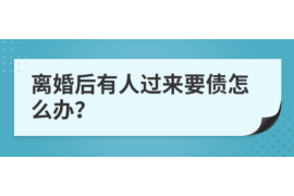 博尔塔拉为什么选择专业追讨公司来处理您的债务纠纷？